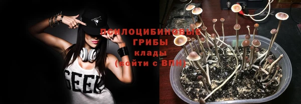 ешки Алексеевка