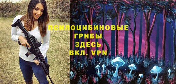 ПСИЛОЦИБИНОВЫЕ ГРИБЫ Алзамай