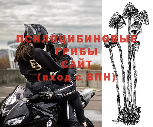 первитин Кукмор