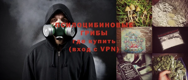 ПСИЛОЦИБИНОВЫЕ ГРИБЫ Алзамай