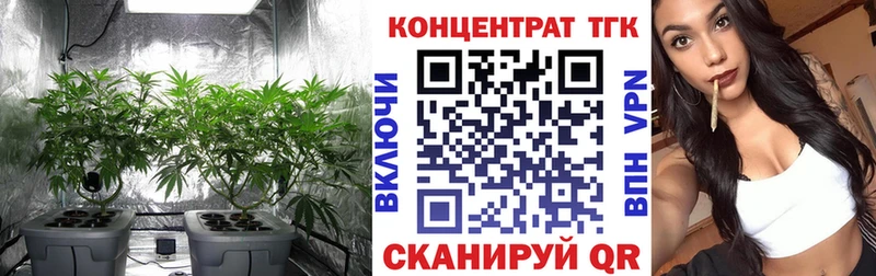 Дистиллят ТГК Wax  Глазов 