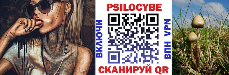 Галлюциногенные грибы MAGIC MUSHROOMS сколько стоит Глазов